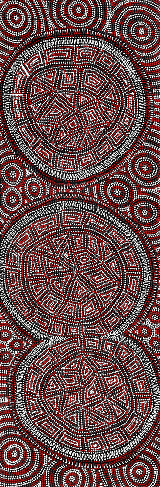 Aboriginal Artwork by Reanne Nampijinpa Brown, Lappi Lappi Jukurrpa, 91x30cm