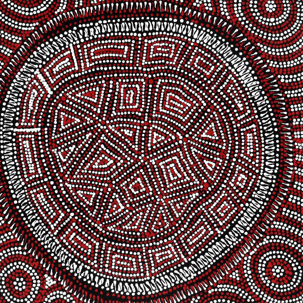 Aboriginal Artwork by Reanne Nampijinpa Brown, Lappi Lappi Jukurrpa, 91x30cm