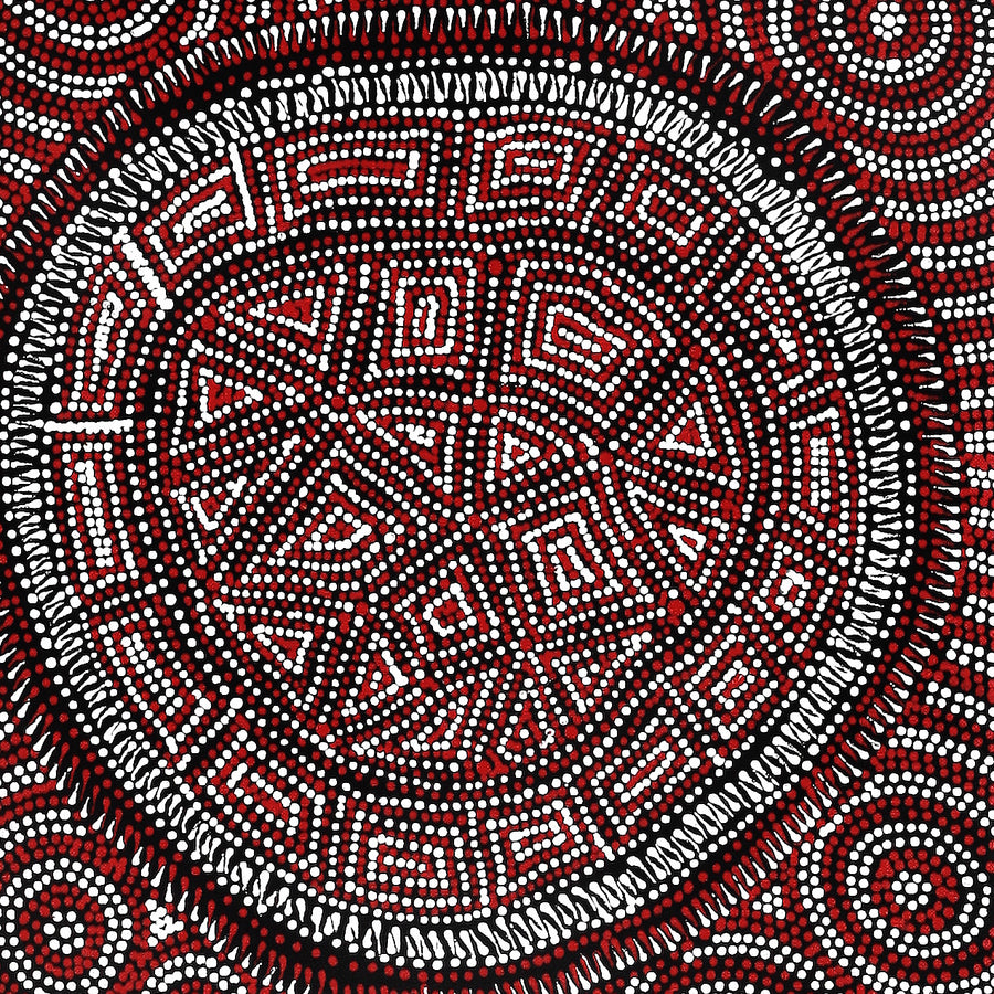 Aboriginal Artwork by Reanne Nampijinpa Brown, Lappi Lappi Jukurrpa, 91x30cm