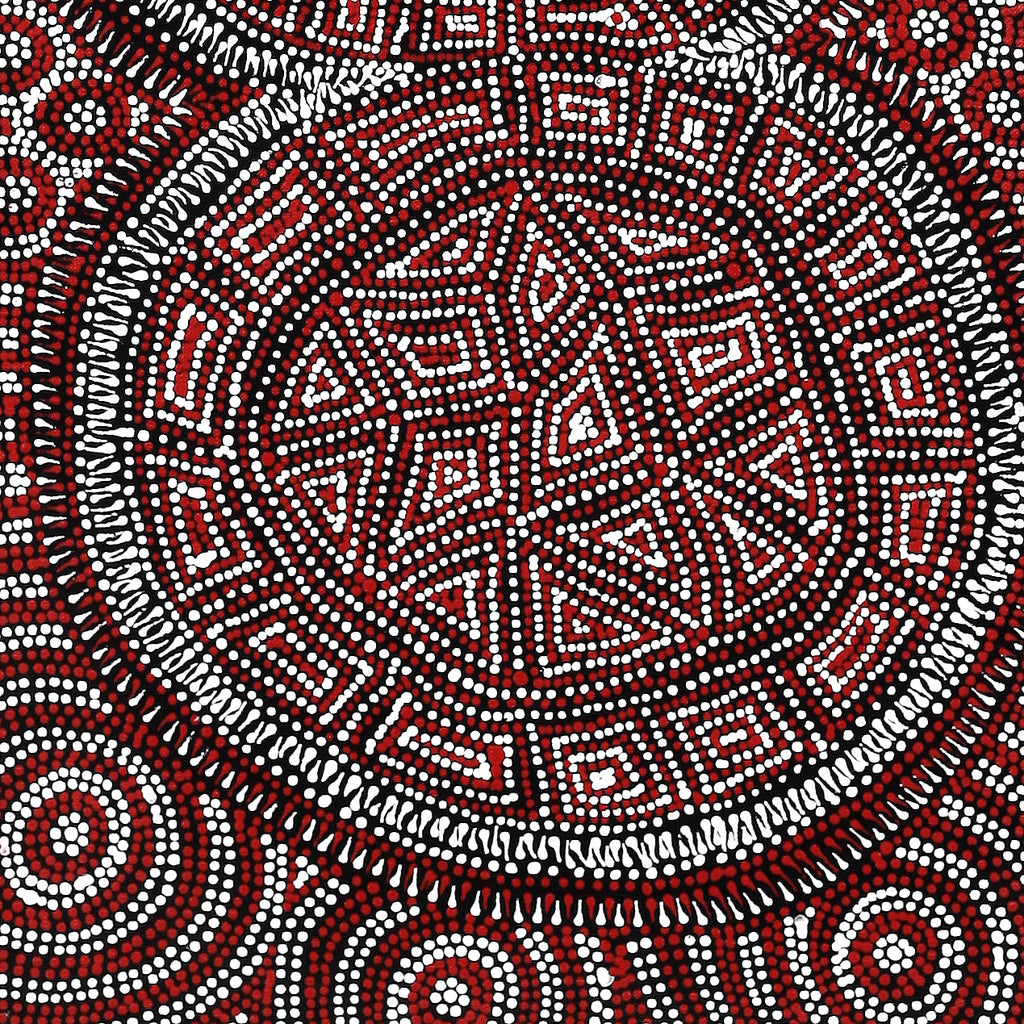 Aboriginal Artwork by Reanne Nampijinpa Brown, Lappi Lappi Jukurrpa, 91x30cm
