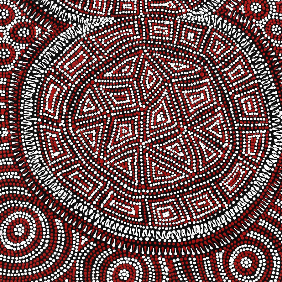 Aboriginal Artwork by Reanne Nampijinpa Brown, Lappi Lappi Jukurrpa, 91x30cm