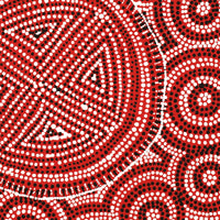 Aboriginal Artwork by Reanne Nampijinpa Brown, Lappi Lappi Jukurrpa, 30x30cm