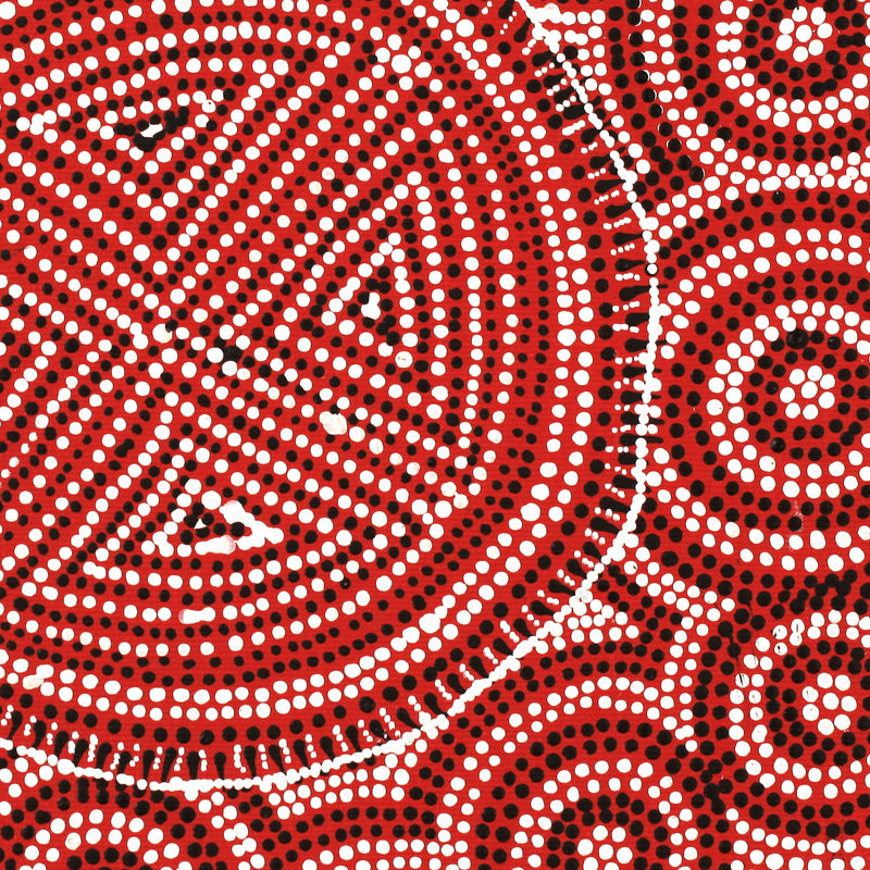 Aboriginal Artwork by Reanne Nampijinpa Brown, Lappi Lappi Jukurrpa, 30x30cm