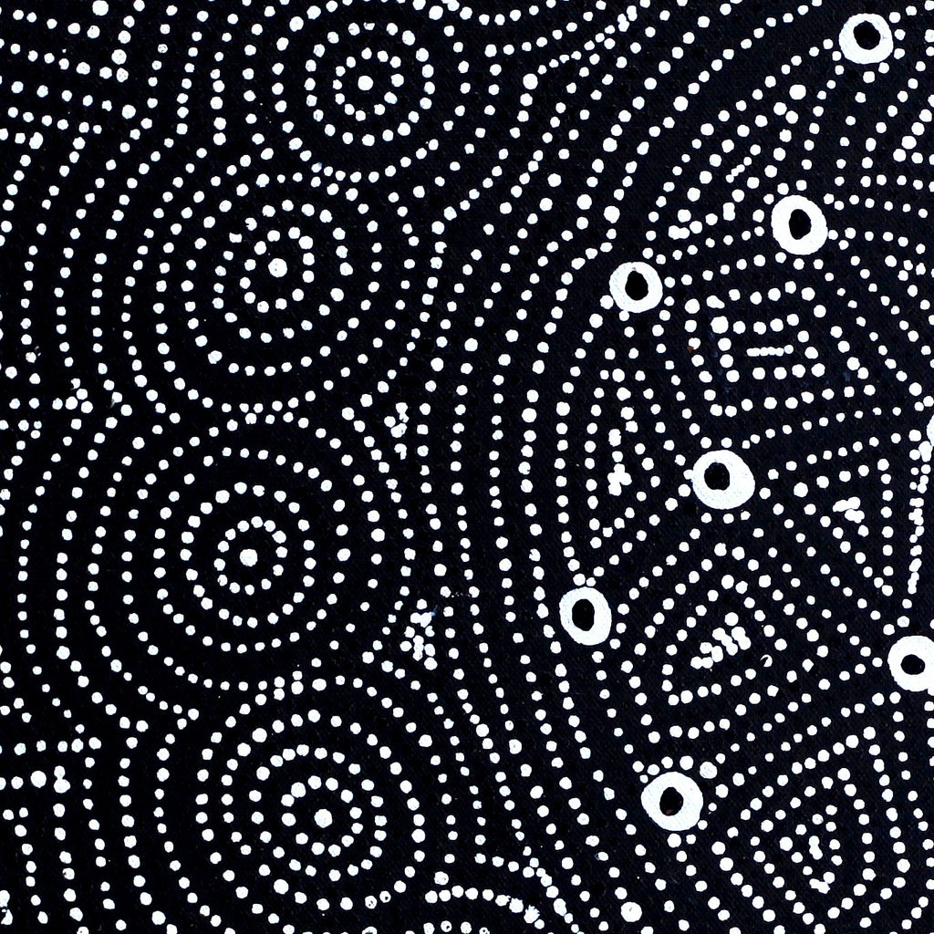 Aboriginal Artwork by Reanne Nampijinpa Brown, Ngapa Jukurrpa (Water Dreaming) - Mikanji, 46x46cm