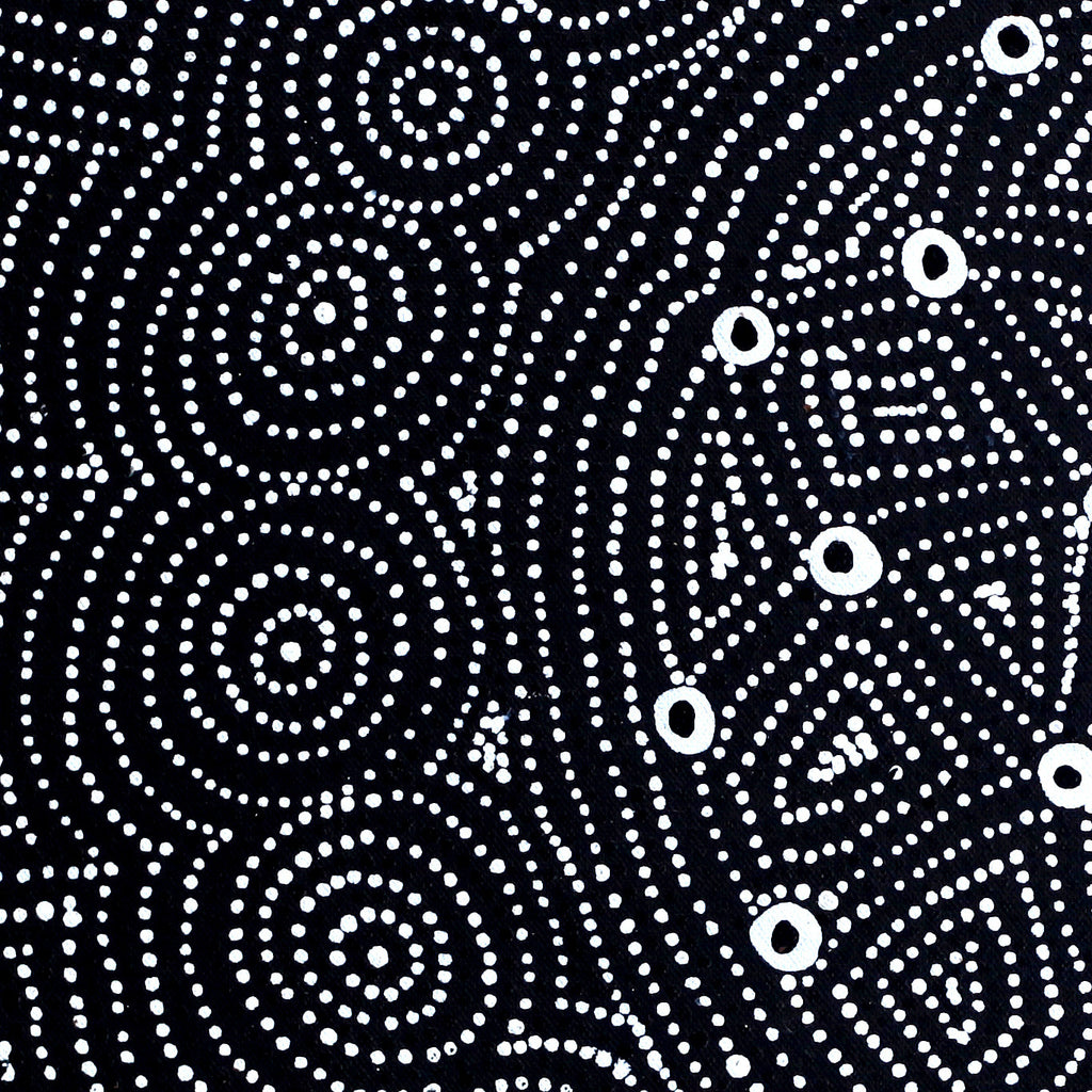 Aboriginal Artwork by Reanne Nampijinpa Brown, Ngapa Jukurrpa (Water Dreaming) - Mikanji, 46x46cm - ART ARK®