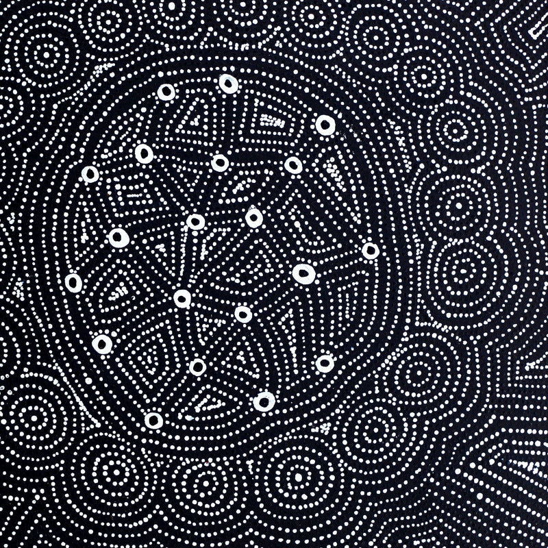 Aboriginal Artwork by Reanne Nampijinpa Brown, Ngapa Jukurrpa (Water Dreaming) - Mikanji, 46x46cm
