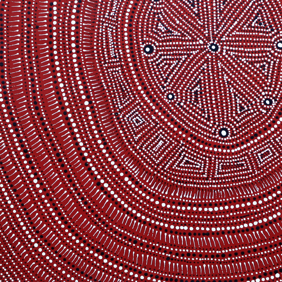 Aboriginal Artwork by Reanne Nampijinpa Brown, Ngapa Jukurrpa (Water Dreaming) - Mikanji, 61x61cm