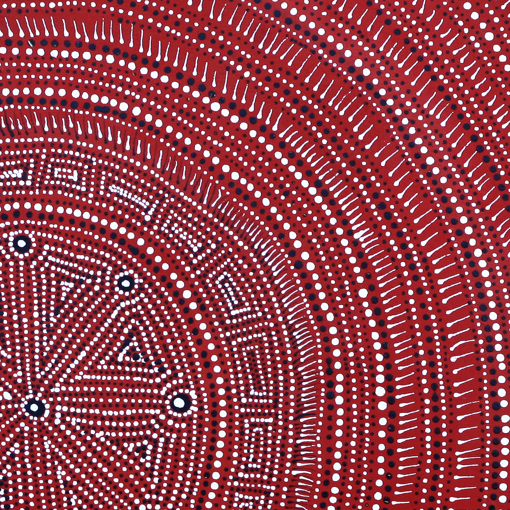 Aboriginal Artwork by Reanne Nampijinpa Brown, Ngapa Jukurrpa (Water Dreaming) - Mikanji, 61x61cm