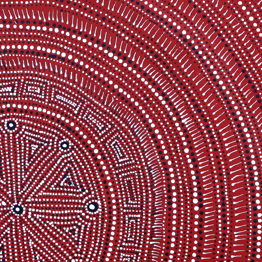 Aboriginal Artwork by Reanne Nampijinpa Brown, Ngapa Jukurrpa (Water Dreaming) - Mikanji, 61x61cm