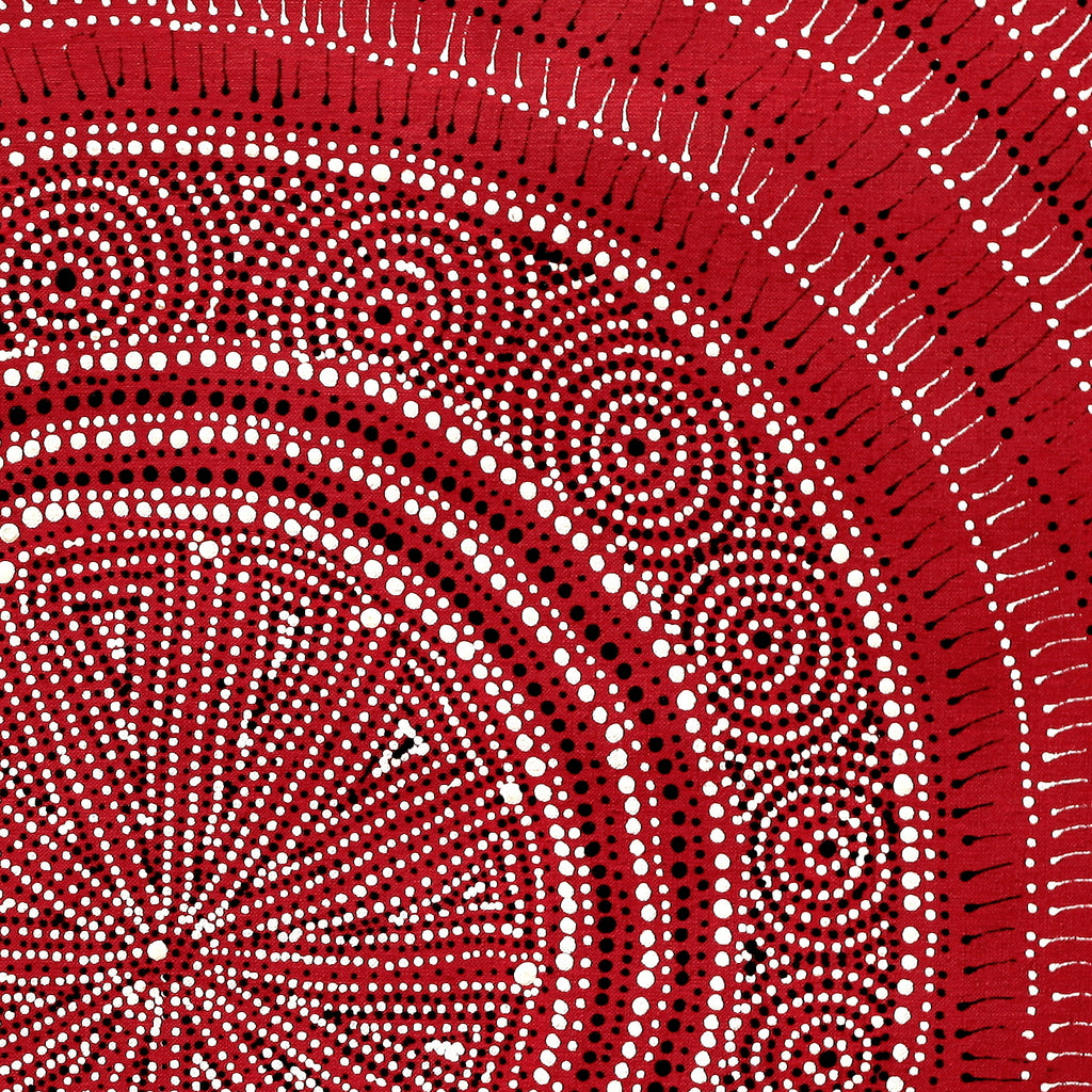 Aboriginal Artwork by Reanne Nampijinpa Brown, Ngapa Jukurrpa (Water Dreaming) - Mikanji, 61x61cm