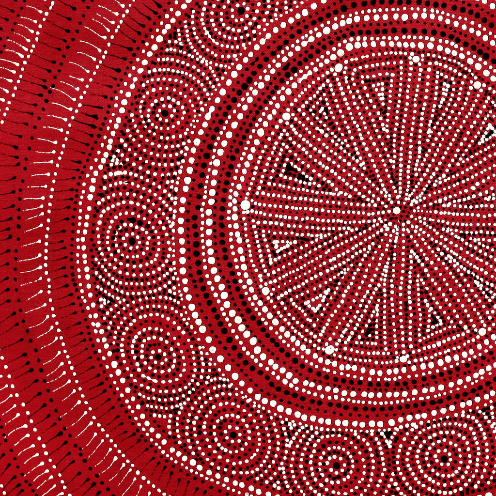 Aboriginal Artwork by Reanne Nampijinpa Brown, Ngapa Jukurrpa (Water Dreaming) - Mikanji, 61x61cm