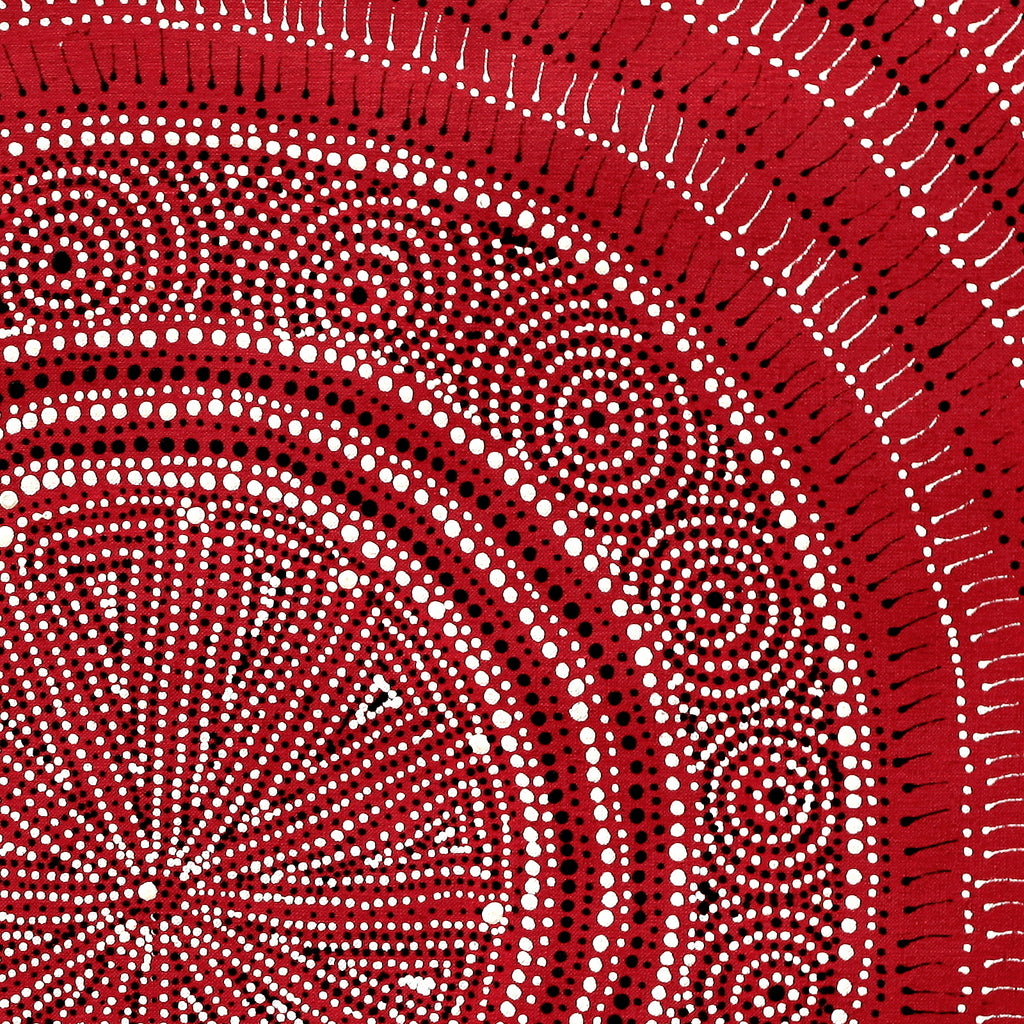 Aboriginal Artwork by Reanne Nampijinpa Brown, Ngapa Jukurrpa (Water Dreaming) - Mikanji, 61x61cm - ART ARK®