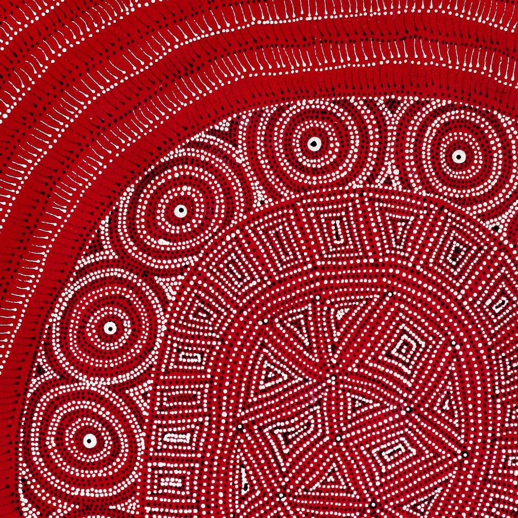Aboriginal Artwork by Reanne Nampijinpa Brown, Ngapa Jukurrpa (Water Dreaming) - Mikanji, 76x61cm