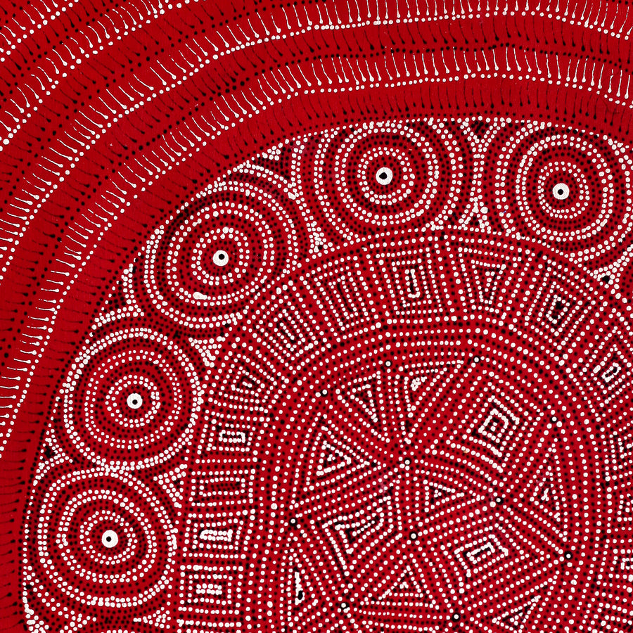 Aboriginal Artwork by Reanne Nampijinpa Brown, Ngapa Jukurrpa (Water Dreaming) - Mikanji, 76x61cm