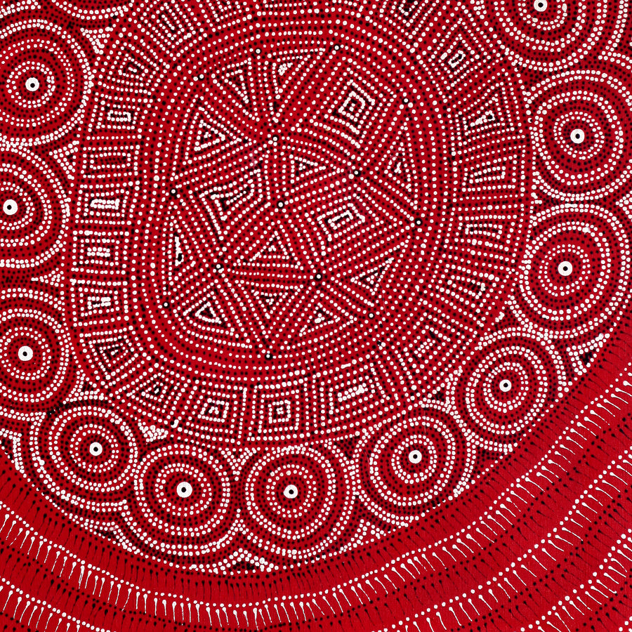 Aboriginal Artwork by Reanne Nampijinpa Brown, Ngapa Jukurrpa (Water Dreaming) - Mikanji, 76x61cm