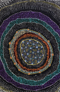 Aboriginal Artwork by Reanne Nampijinpa Brown, Ngapa Jukurrpa (Water Dreaming) - Mikanji, 91x61cm