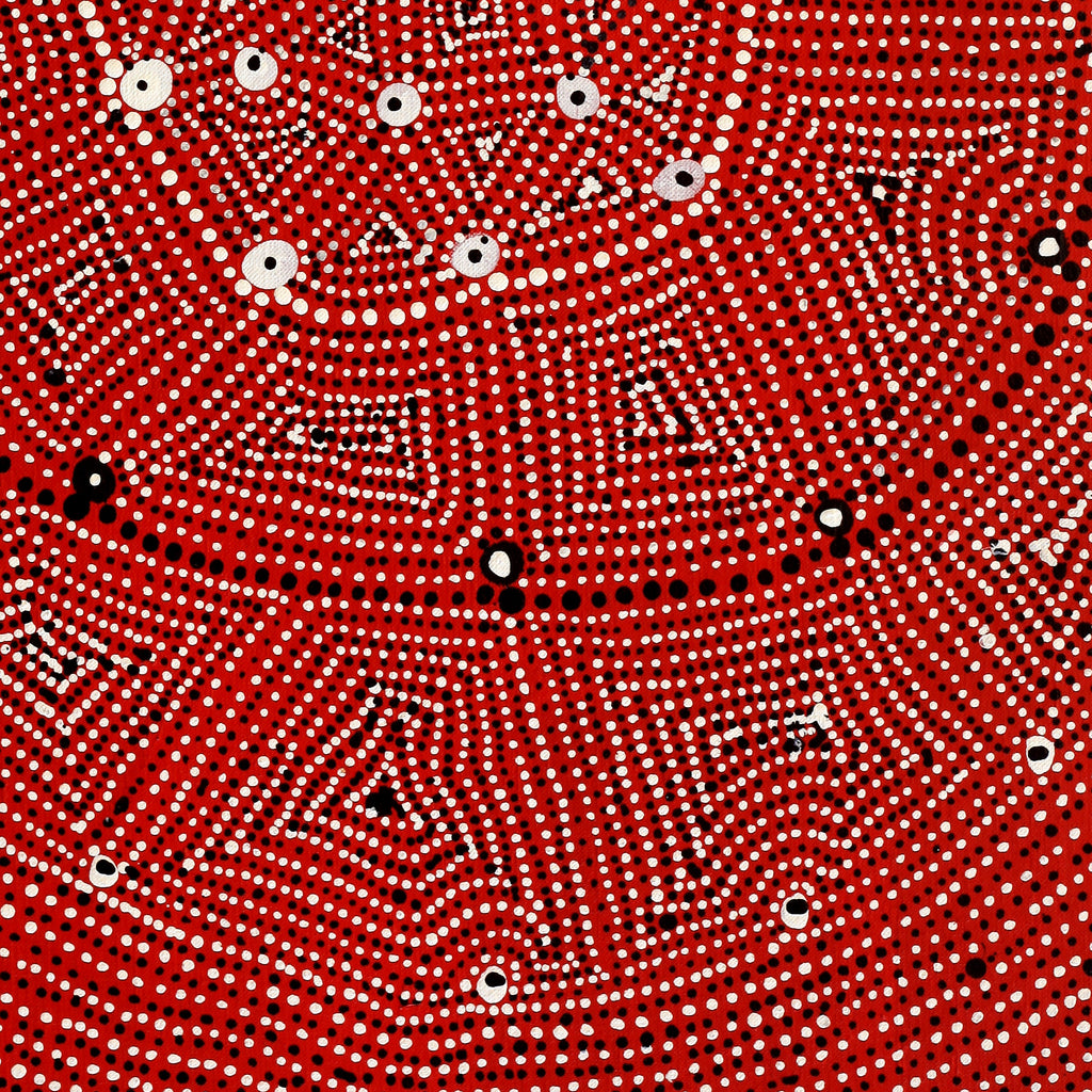 Aboriginal Artwork by Reanne Nampijinpa Brown, Ngapa Jukurrpa (Water Dreaming) - Mikanji, 76x46cm