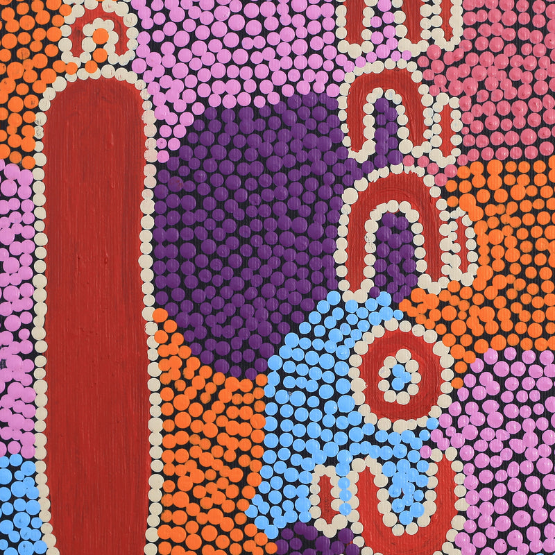 Aboriginal Artwork by Rene Napangardi Dixon, Mina Mina Dreaming - Ngalyipi, 30x30cm