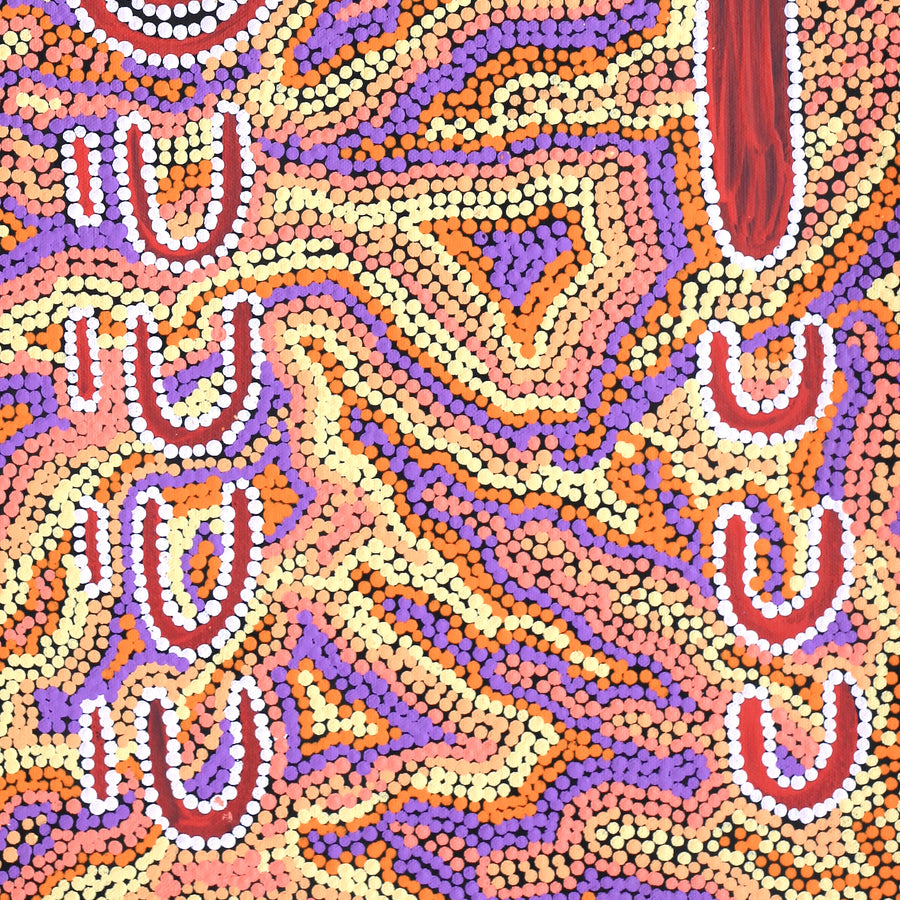 Aboriginal Artwork by Rene Napangardi Dixon, Mina Mina Dreaming - Ngalyipi, 61x46cm