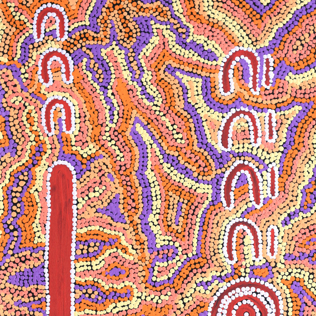 Aboriginal Artwork by Rene Napangardi Dixon, Mina Mina Dreaming - Ngalyipi, 61x46cm