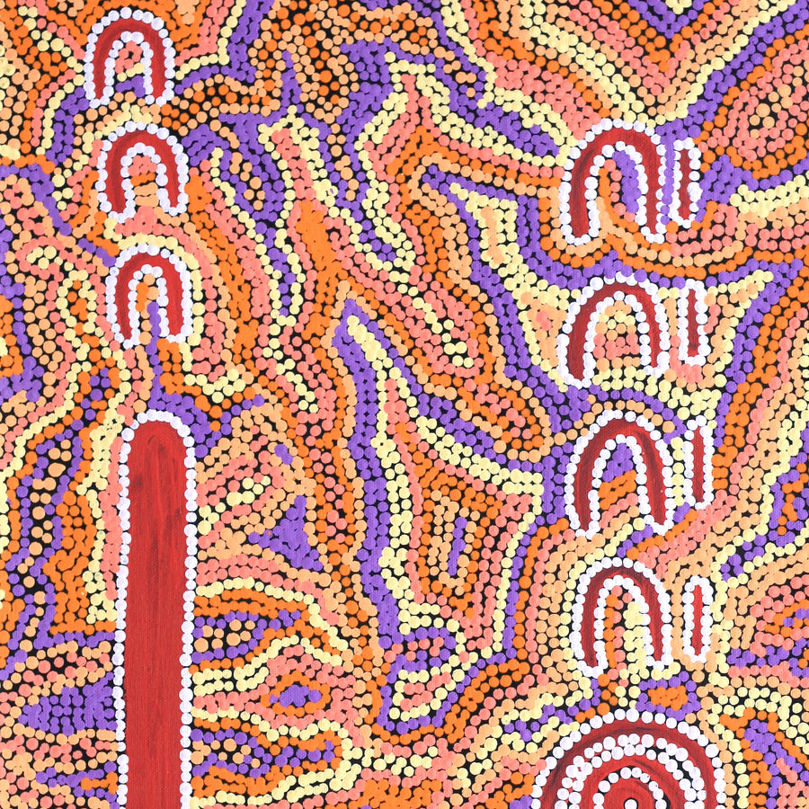 Aboriginal Artwork by Rene Napangardi Dixon, Mina Mina Dreaming - Ngalyipi, 61x46cm