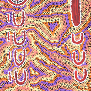 Aboriginal Artwork by Rene Napangardi Dixon, Mina Mina Dreaming - Ngalyipi, 61x46cm - ART ARK®