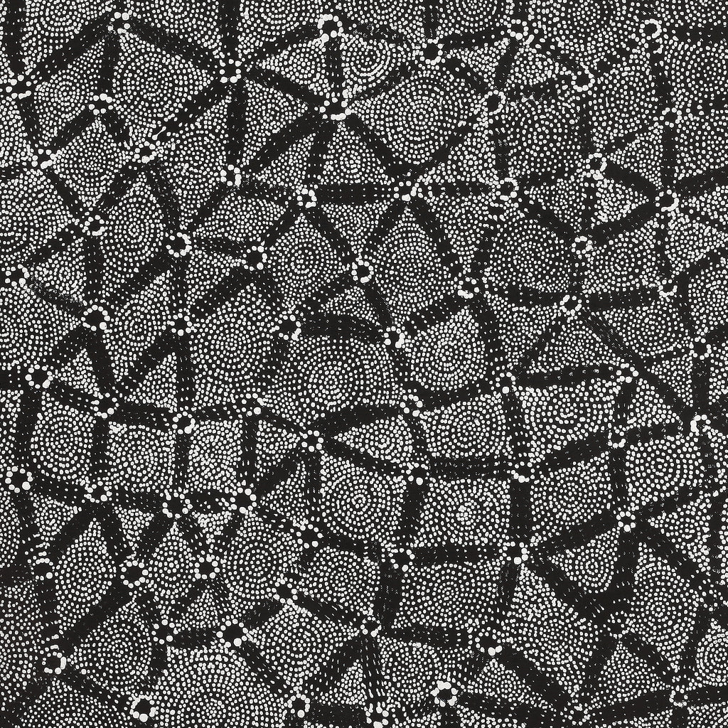 Aboriginal Artwork by Renelle Napanangka McCormack, Pikilyi Jukurrpa (Vaugn Springs Dreaming), 107x46cm