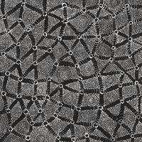 Aboriginal Artwork by Renelle Napanangka McCormack, Pikilyi Jukurrpa (Vaugn Springs Dreaming), 107x46cm