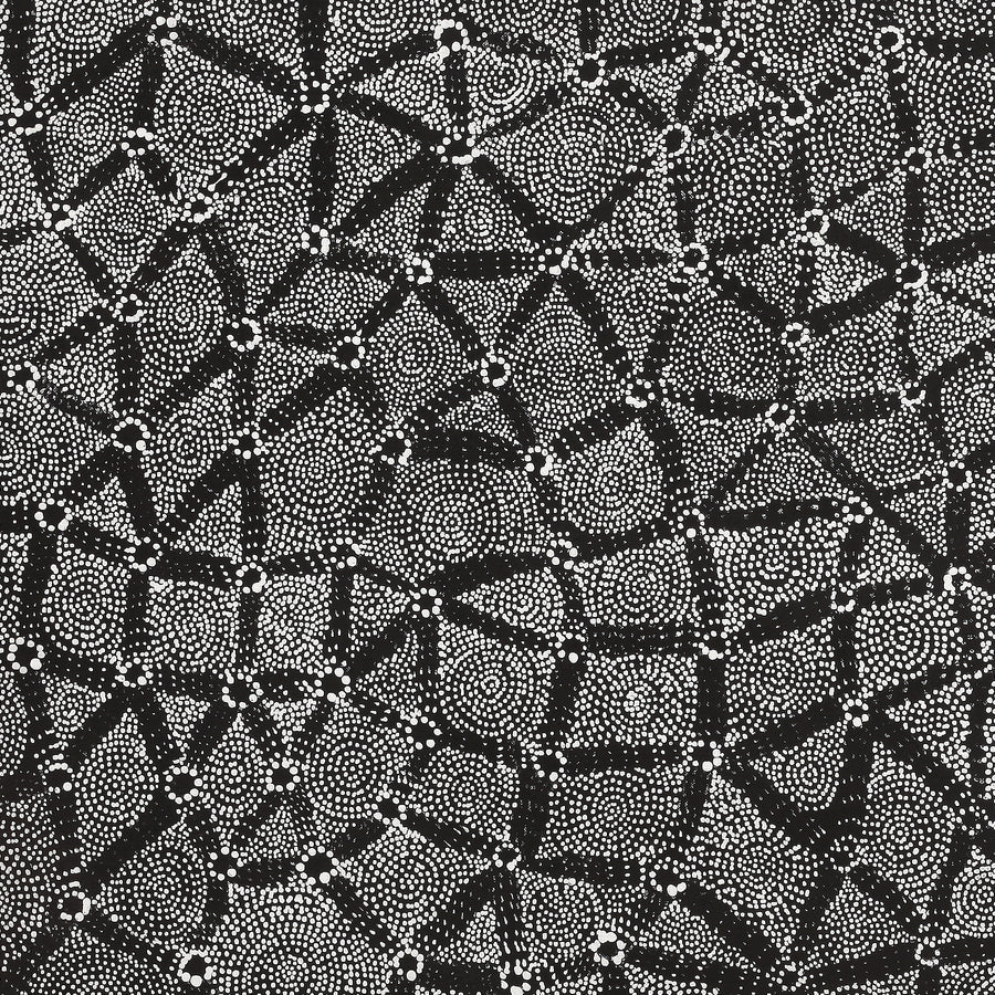 Aboriginal Artwork by Renelle Napanangka McCormack, Pikilyi Jukurrpa (Vaugn Springs Dreaming), 107x46cm