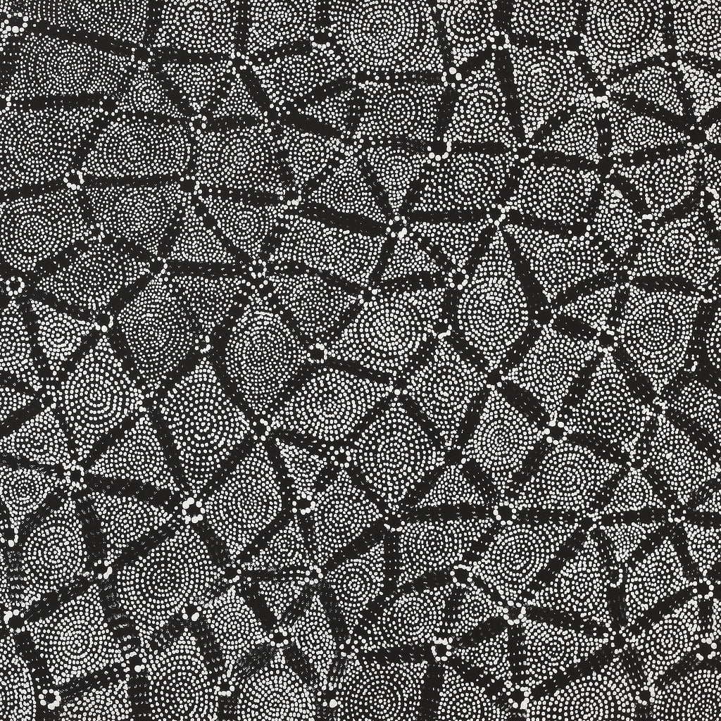 Aboriginal Artwork by Renelle Napanangka McCormack, Pikilyi Jukurrpa (Vaugn Springs Dreaming), 107x46cm