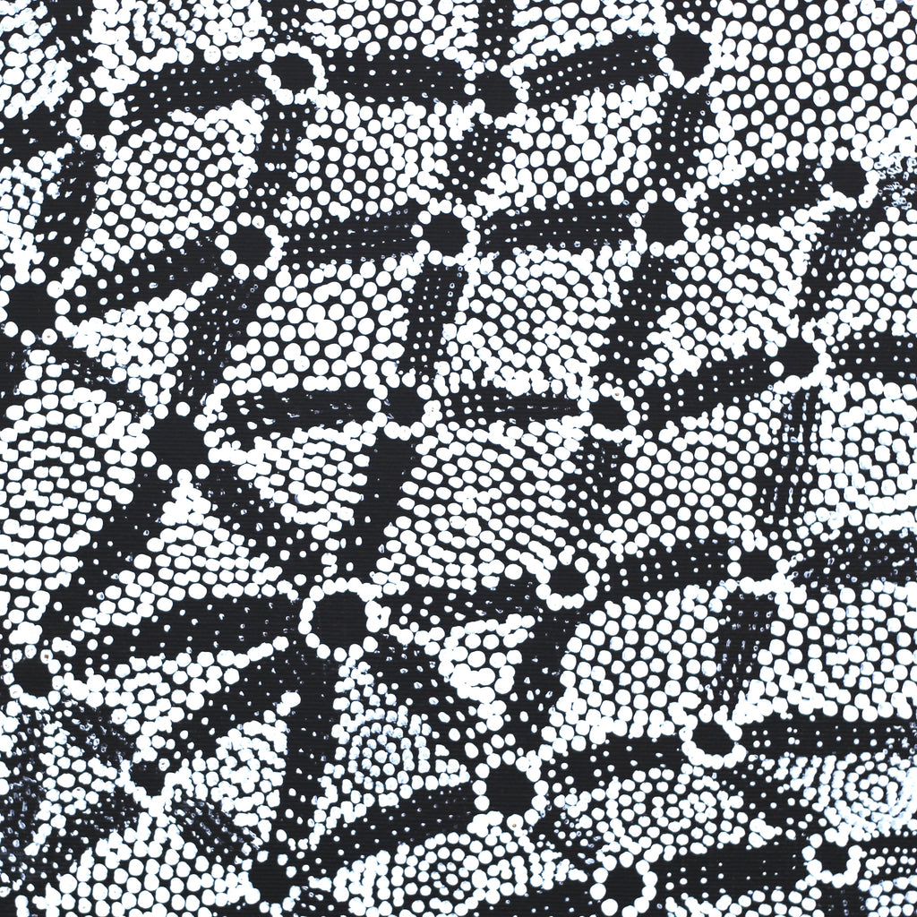 Aboriginal Artwork by Renelle Napanangka McCormack, Pikilyi Jukurrpa (Vaugn Springs Dreaming), 30x30cm