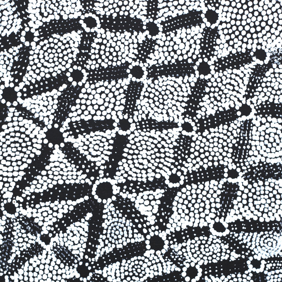 Aboriginal Artwork by Renelle Napanangka McCormack, Pikilyi Jukurrpa (Vaugn Springs Dreaming), 30x30cm