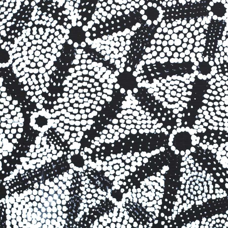 Aboriginal Artwork by Renelle Napanangka McCormack, Pikilyi Jukurrpa (Vaugn Springs Dreaming), 30x30cm