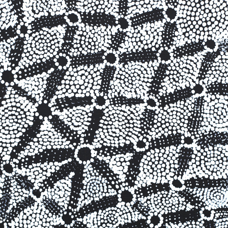 Aboriginal Artwork by Renelle Napanangka McCormack, Pikilyi Jukurrpa (Vaugn Springs Dreaming), 30x30cm