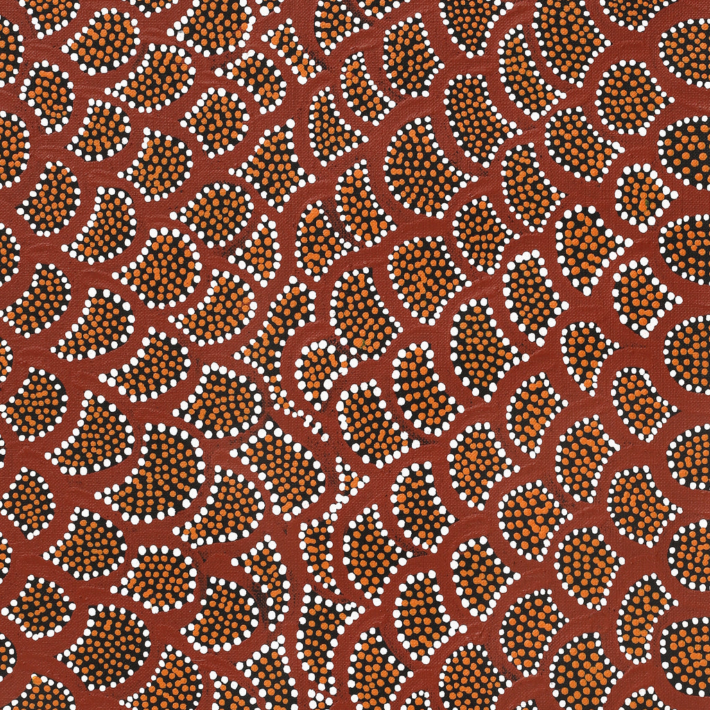 Aboriginal Artwork by Renita Napangardi Brown, Wardapi Jukurrpa (Goanna Dreaming) - Yarripilangu, 152x30cm