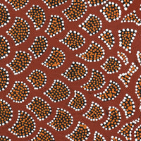 Aboriginal Artwork by Renita Napangardi Brown, Wardapi Jukurrpa (Goanna Dreaming) - Yarripilangu, 152x30cm