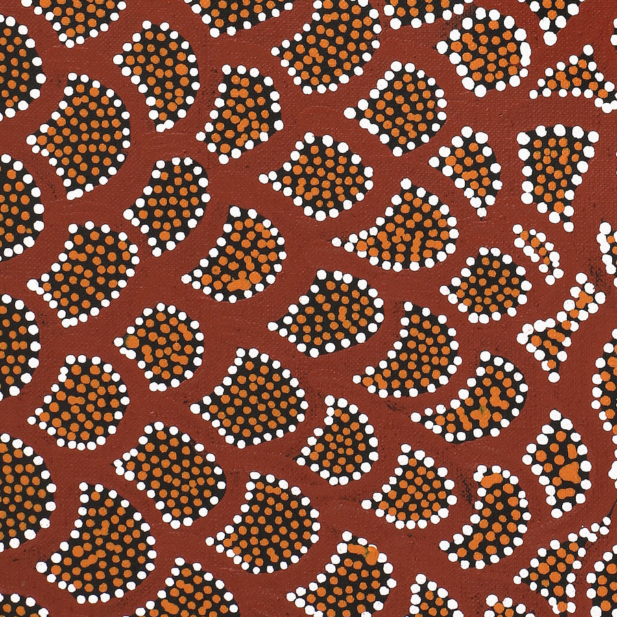 Aboriginal Artwork by Renita Napangardi Brown, Wardapi Jukurrpa (Goanna Dreaming) - Yarripilangu, 152x30cm