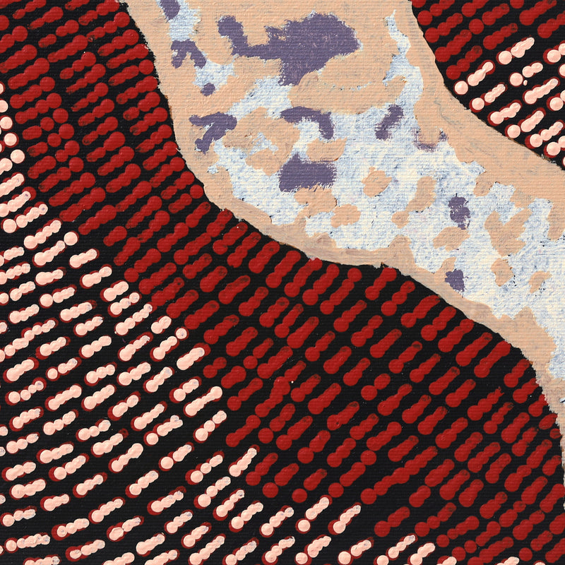 Aboriginal Artwork by Renita Nungarrayi Brown, Mina Mina Jukurrpa (Dreaming) - Ngalyipi, 30x30cm