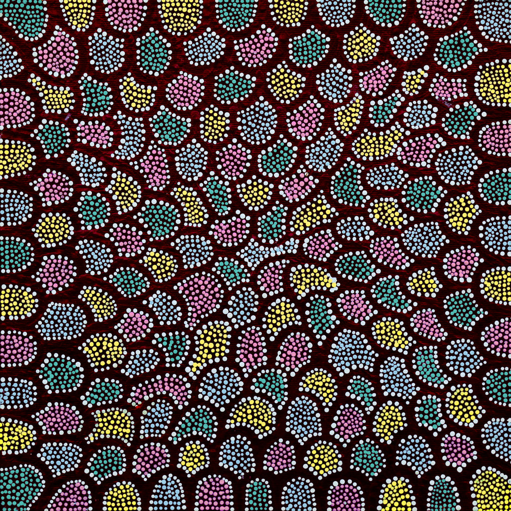 Aboriginal Artwork by Renita Napangardi Brown, Wardapi Jukurrpa (Goanna Dreaming) - Yarripurlangu, 30x30cm