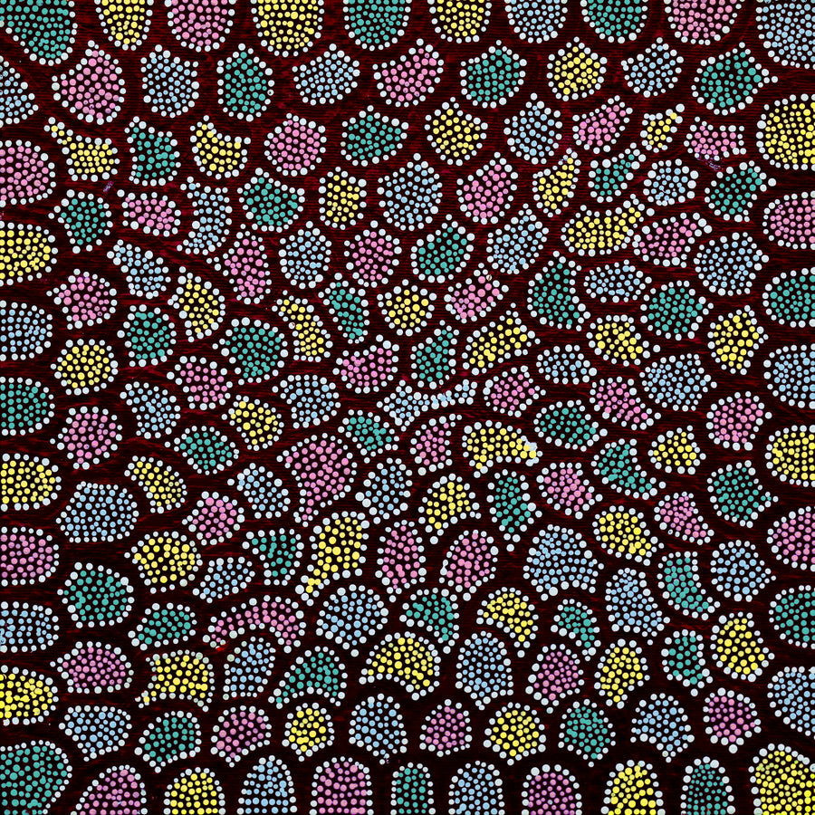 Aboriginal Artwork by Renita Napangardi Brown, Wardapi Jukurrpa (Goanna Dreaming) - Yarripurlangu, 30x30cm