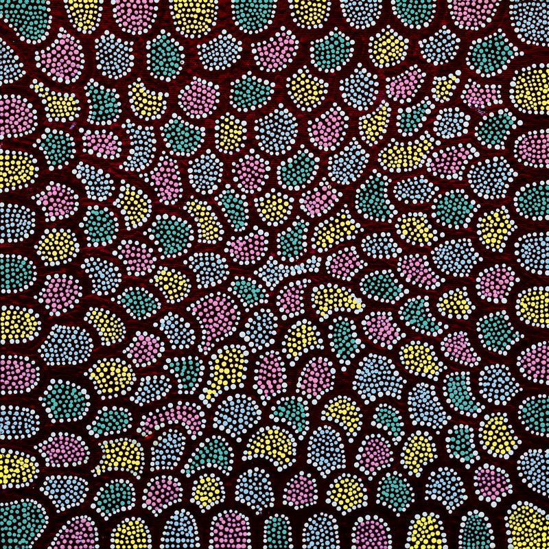 Aboriginal Artwork by Renita Napangardi Brown, Wardapi Jukurrpa (Goanna Dreaming) - Yarripurlangu, 30x30cm