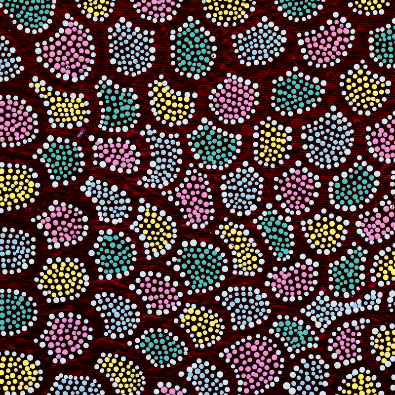 Aboriginal Artwork by Renita Napangardi Brown, Wardapi Jukurrpa (Goanna Dreaming) - Yarripurlangu, 30x30cm
