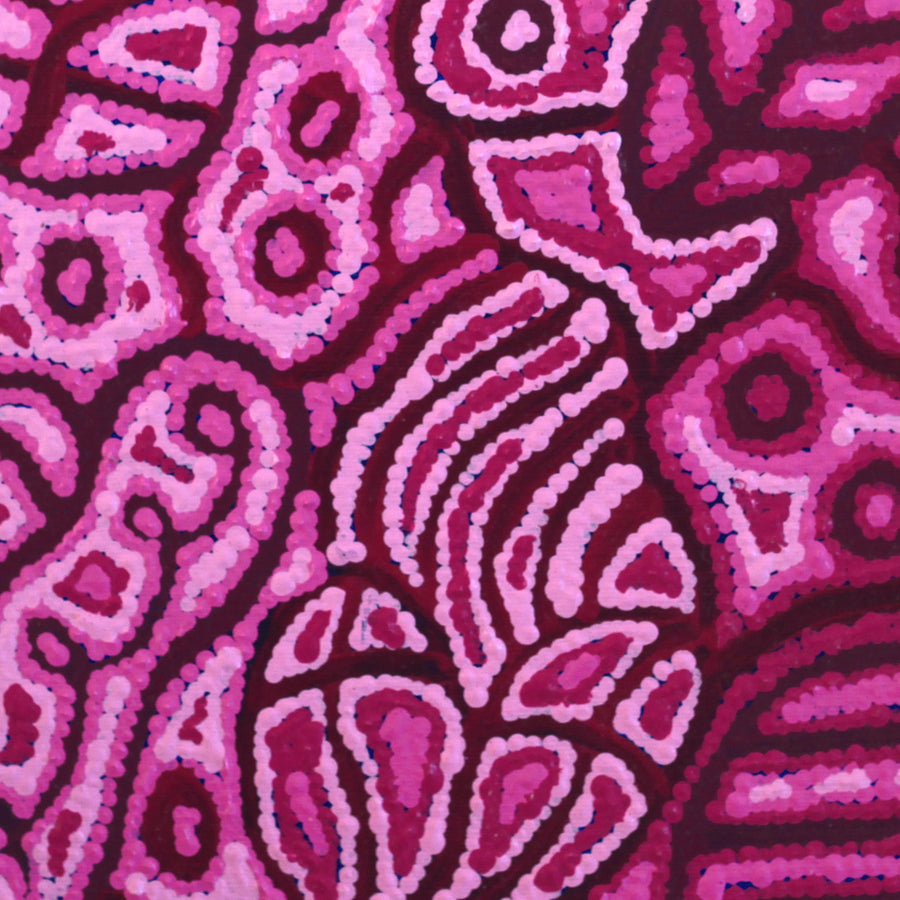 Aboriginal Artwork by Reva Nungarrayi Dickson, Mina Mina Jukurrpa, 30x30cm