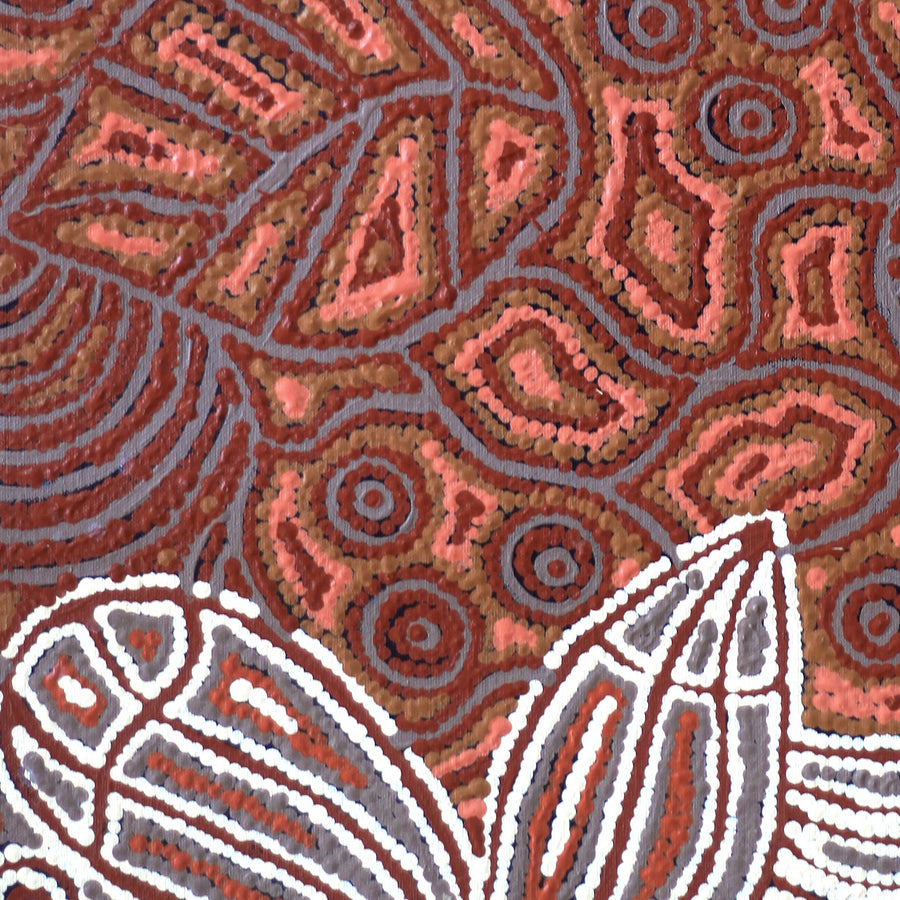 Aboriginal Artwork by Reva Nungarrayi Dickson, Snake Vine Dreaming - Purturlu, 61x46cm