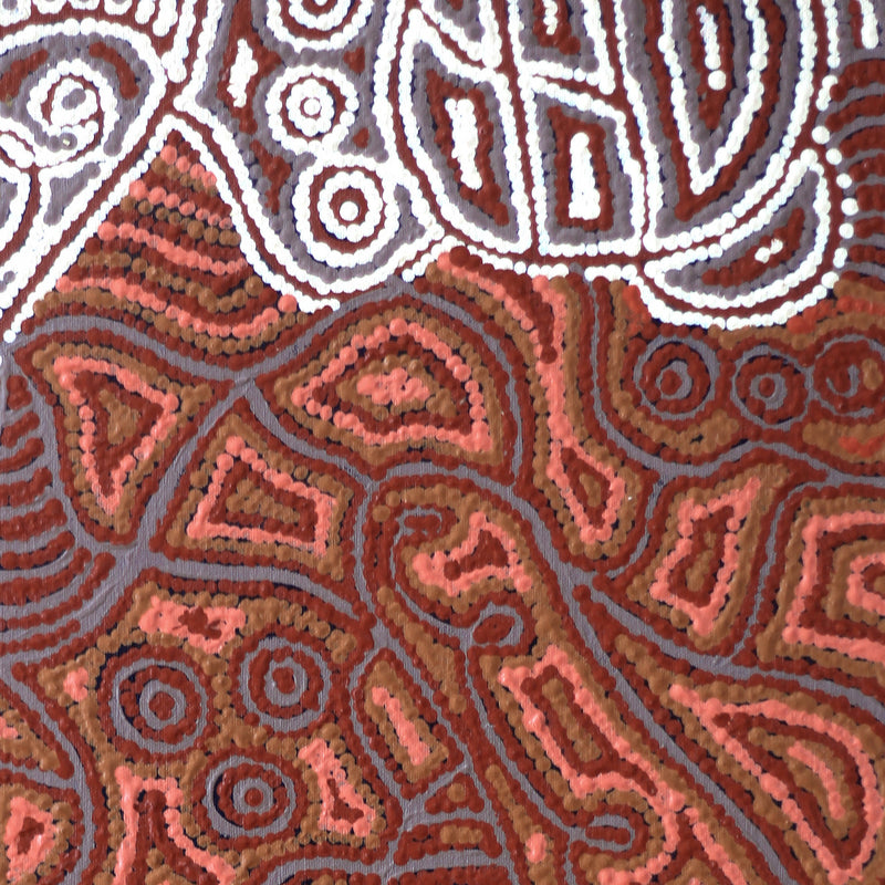 Aboriginal Artwork by Reva Nungarrayi Dickson, Snake Vine Dreaming - Purturlu, 61x46cm