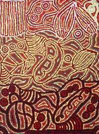 Aboriginal Artwork by Reva Nungarrayi Dickson, Snake Vine Dreaming - Purturlu, 61x46cm