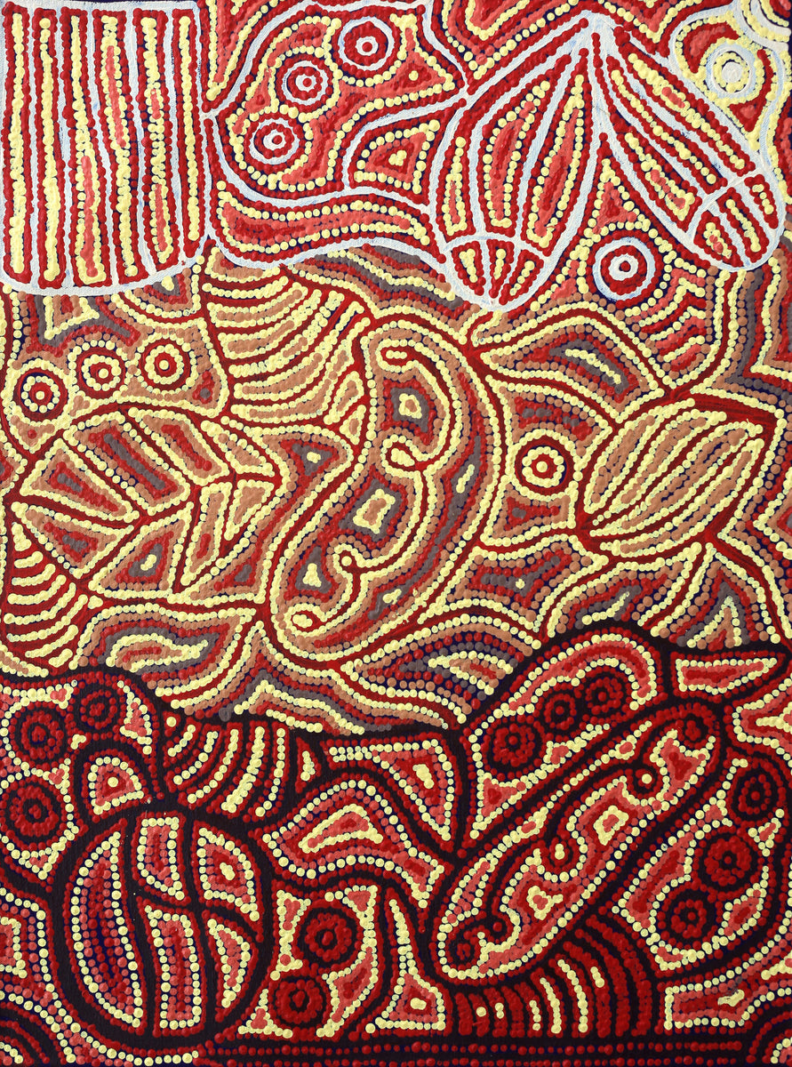 Aboriginal Art by Reva Nungarrayi Dickson, Snake Vine Dreaming - Purturlu, 61x46cm - ART ARK®