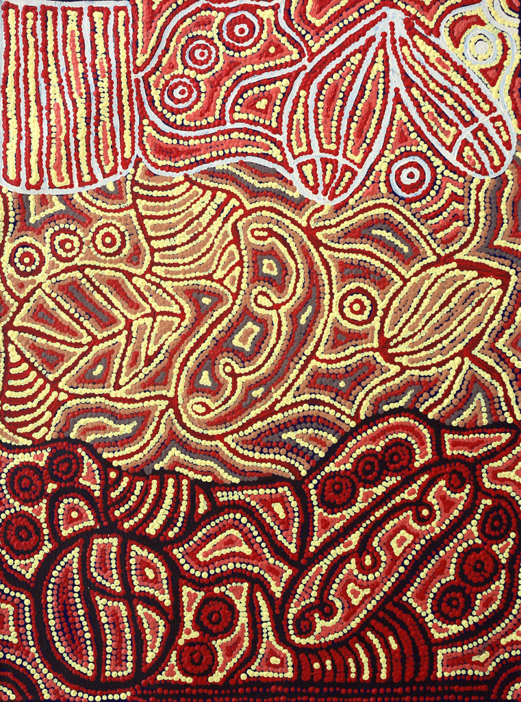 Aboriginal Artwork by Reva Nungarrayi Dickson, Snake Vine Dreaming - Purturlu, 61x46cm