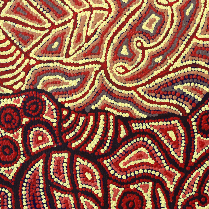Aboriginal Artwork by Reva Nungarrayi Dickson, Snake Vine Dreaming - Purturlu, 61x46cm