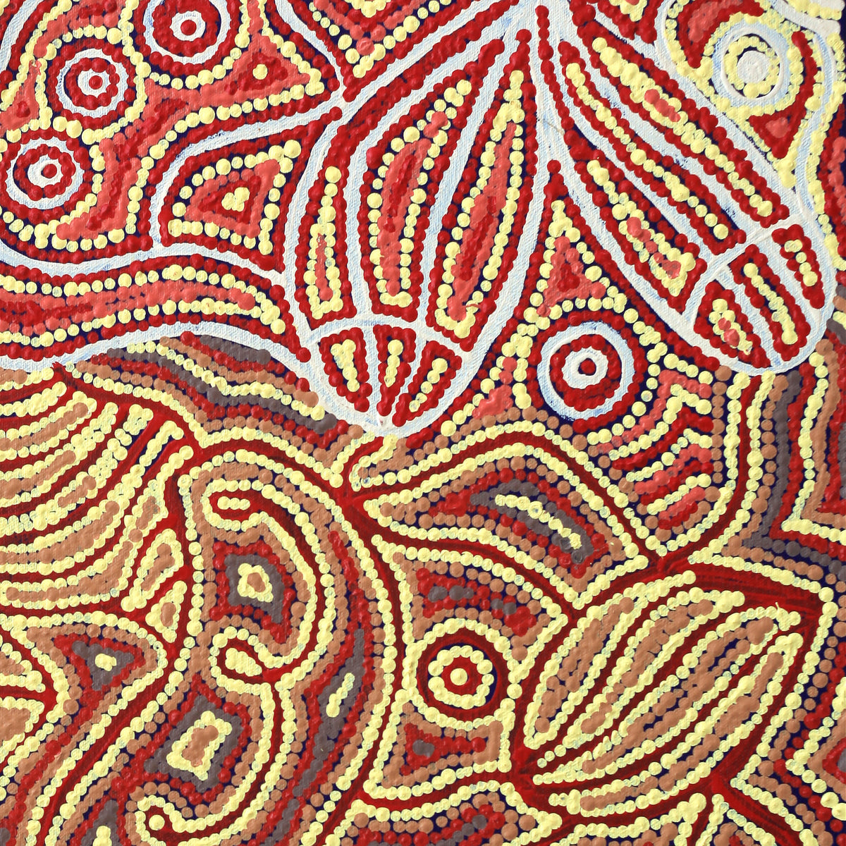 Aboriginal Artwork by Reva Nungarrayi Dickson, Snake Vine Dreaming - Purturlu, 61x46cm